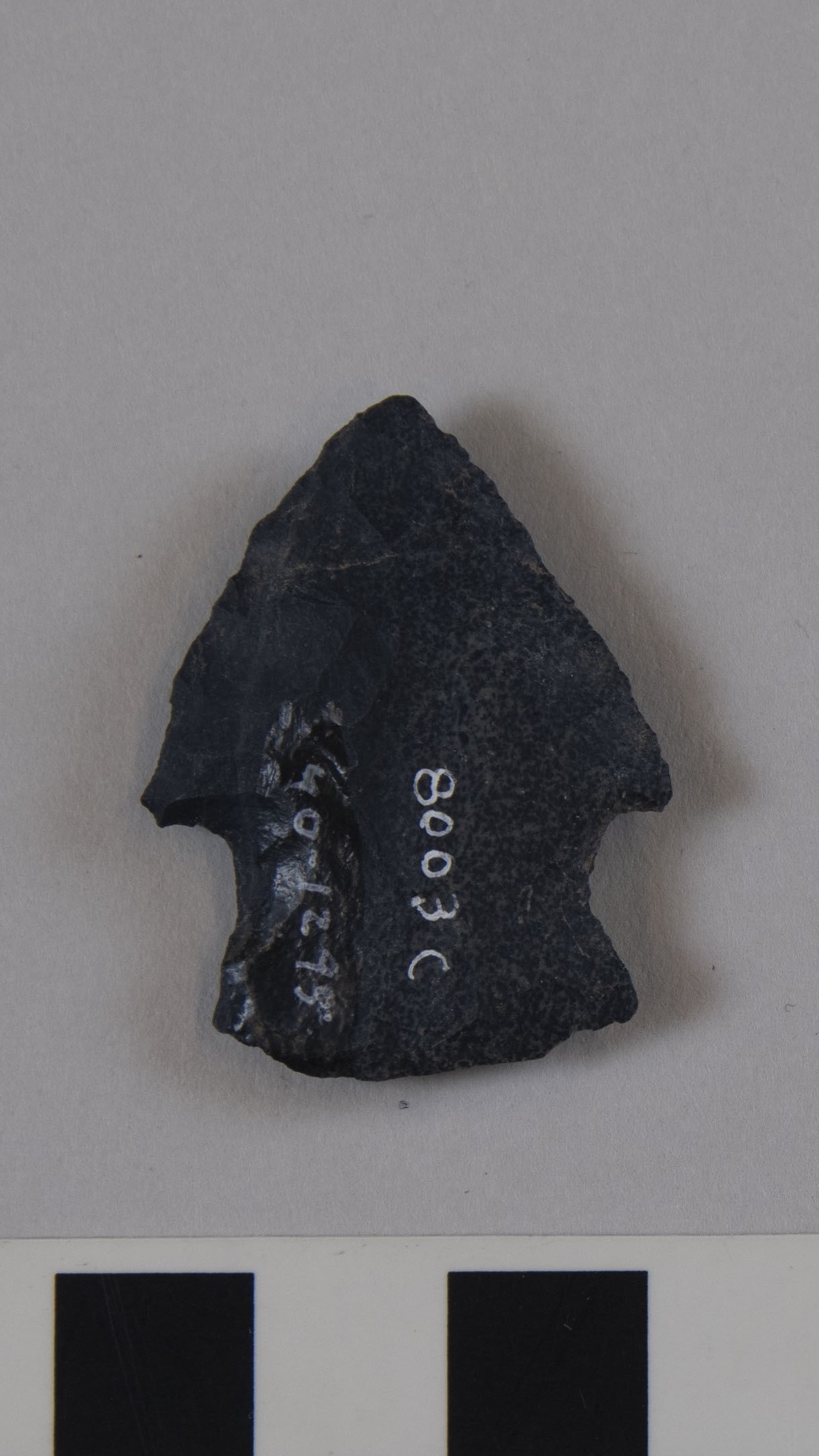 projectile point