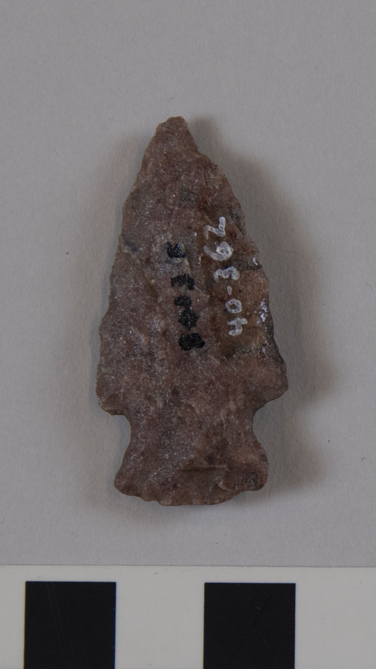 projectile point