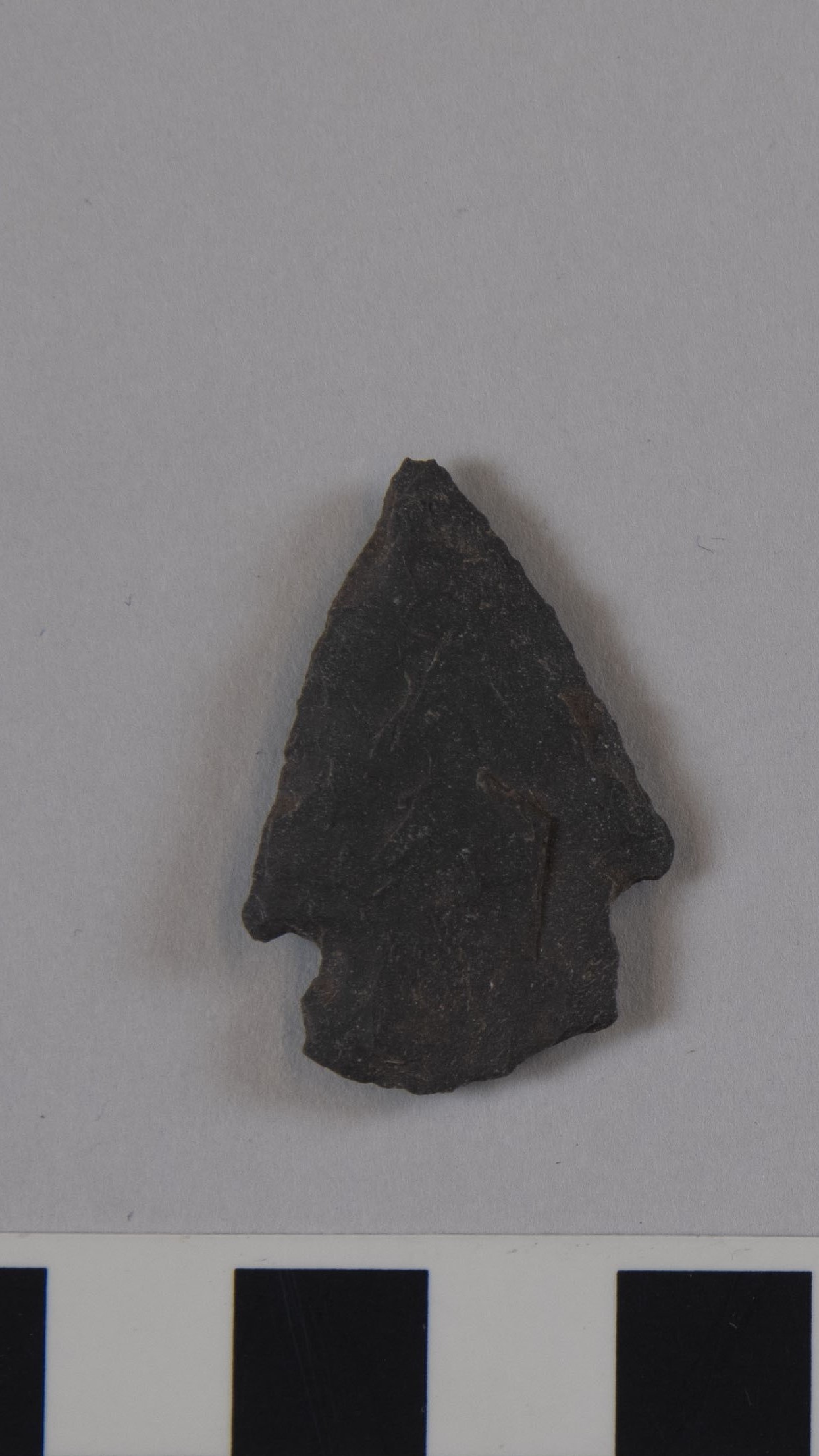 projectile point