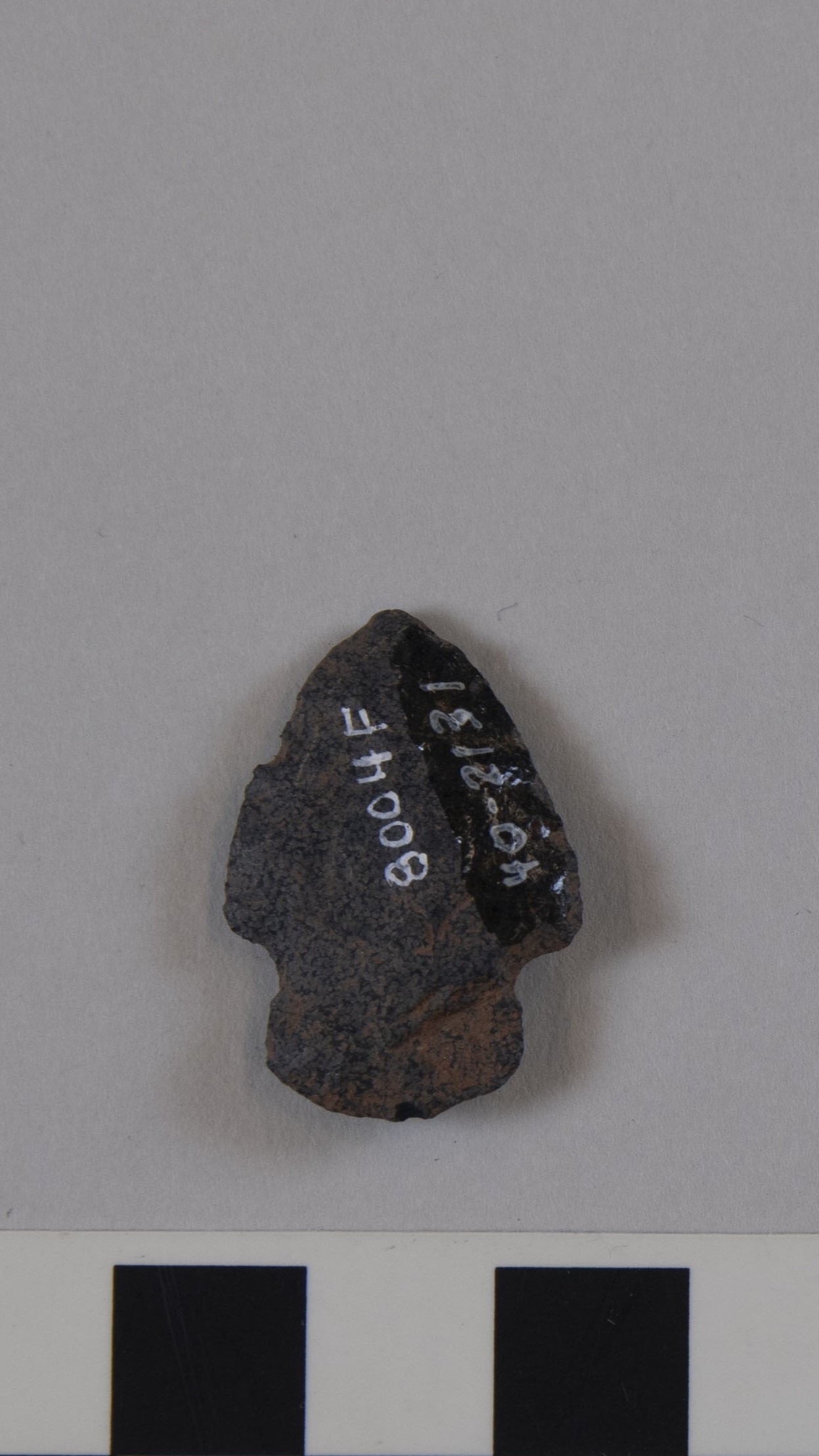 projectile point