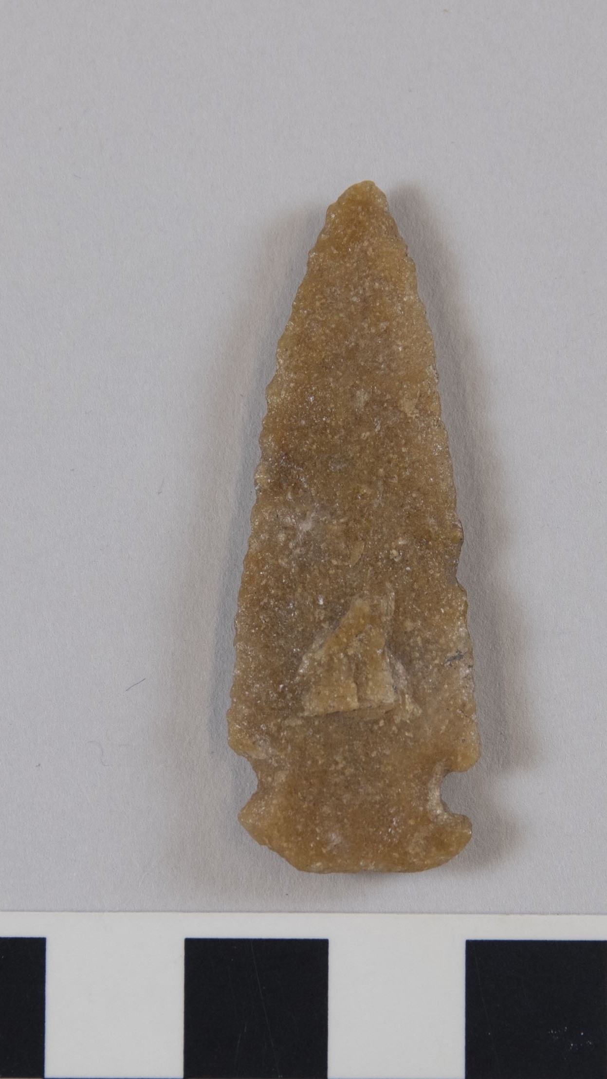 projectile point