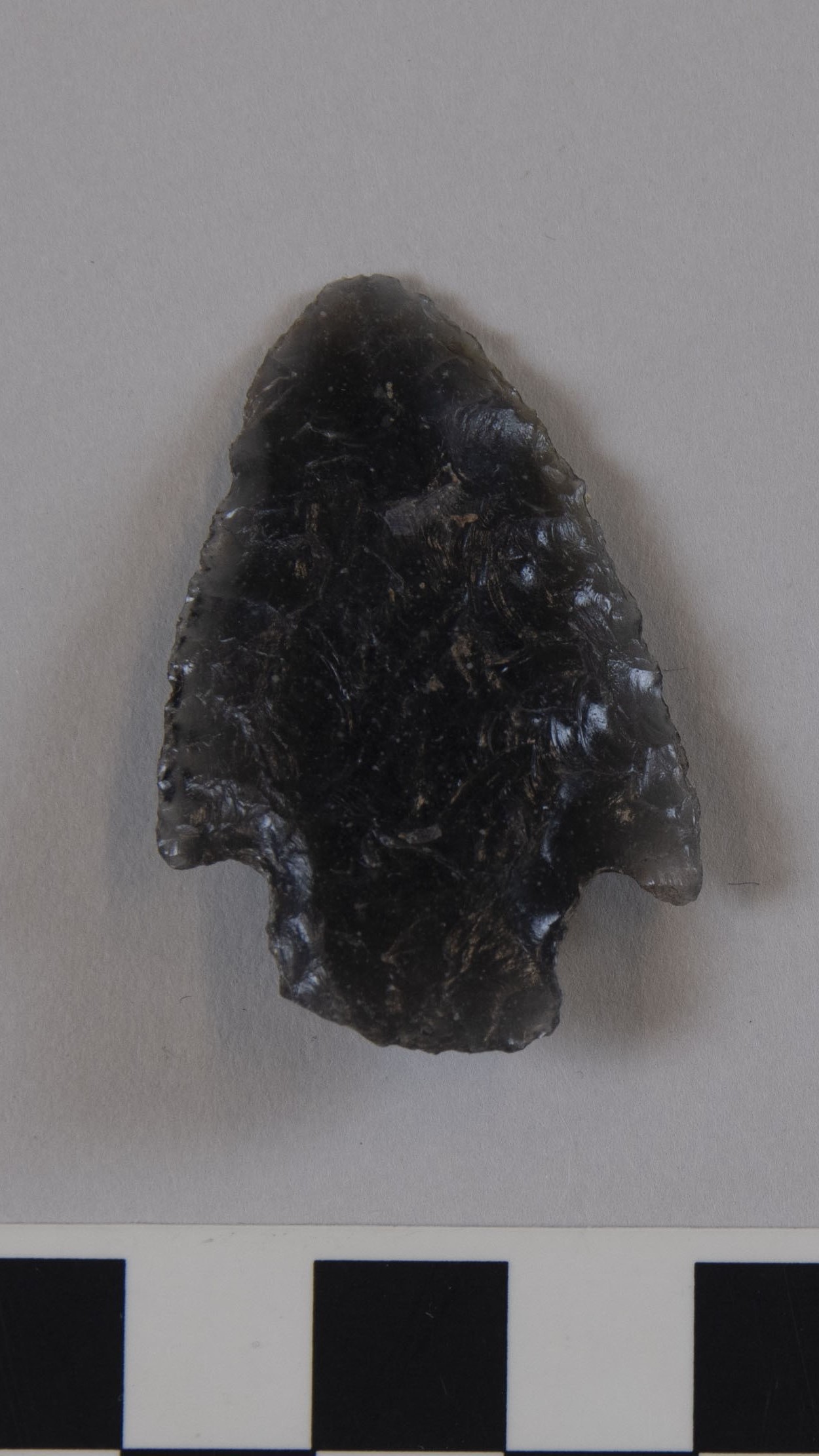 projectile point