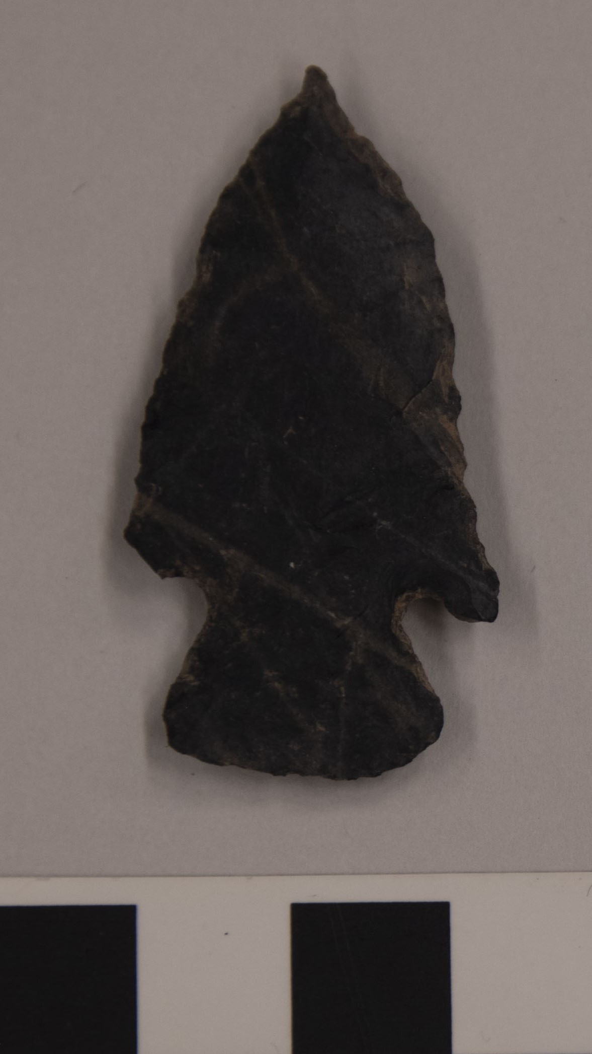 projectile point