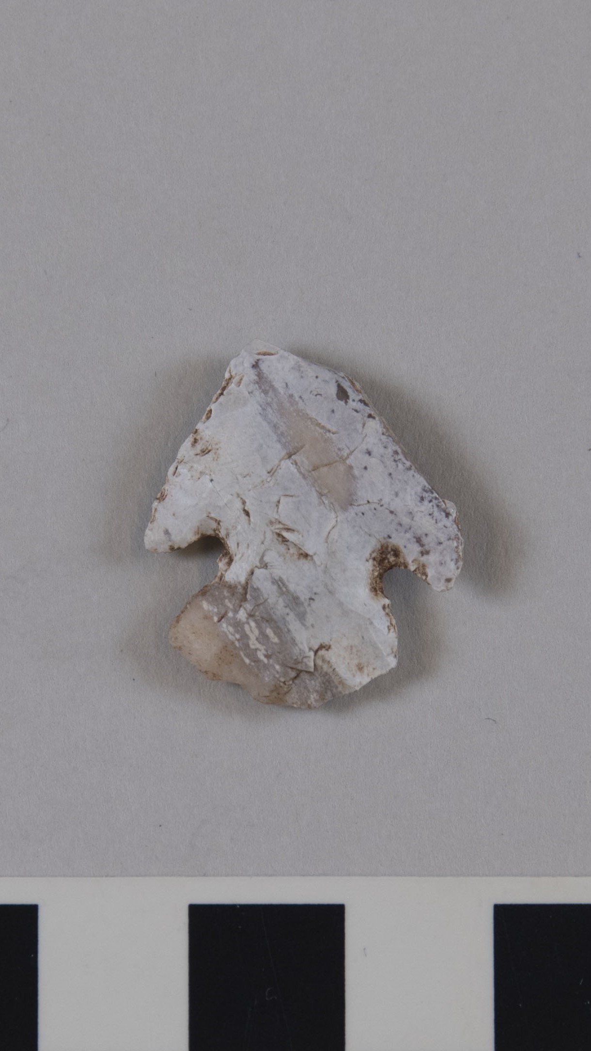 projectile point