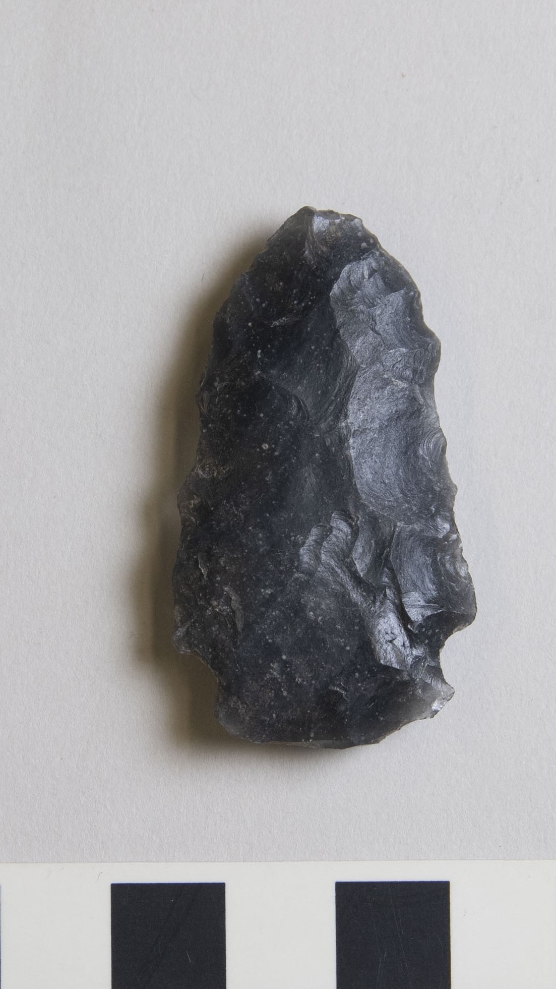 projectile point