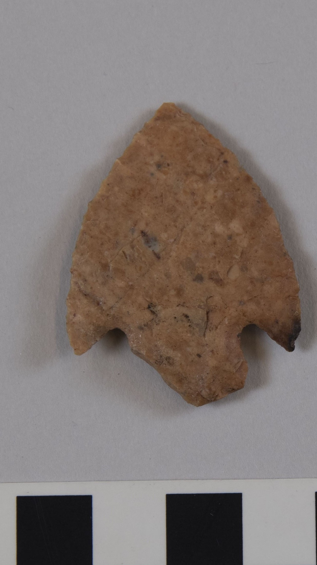 projectile point