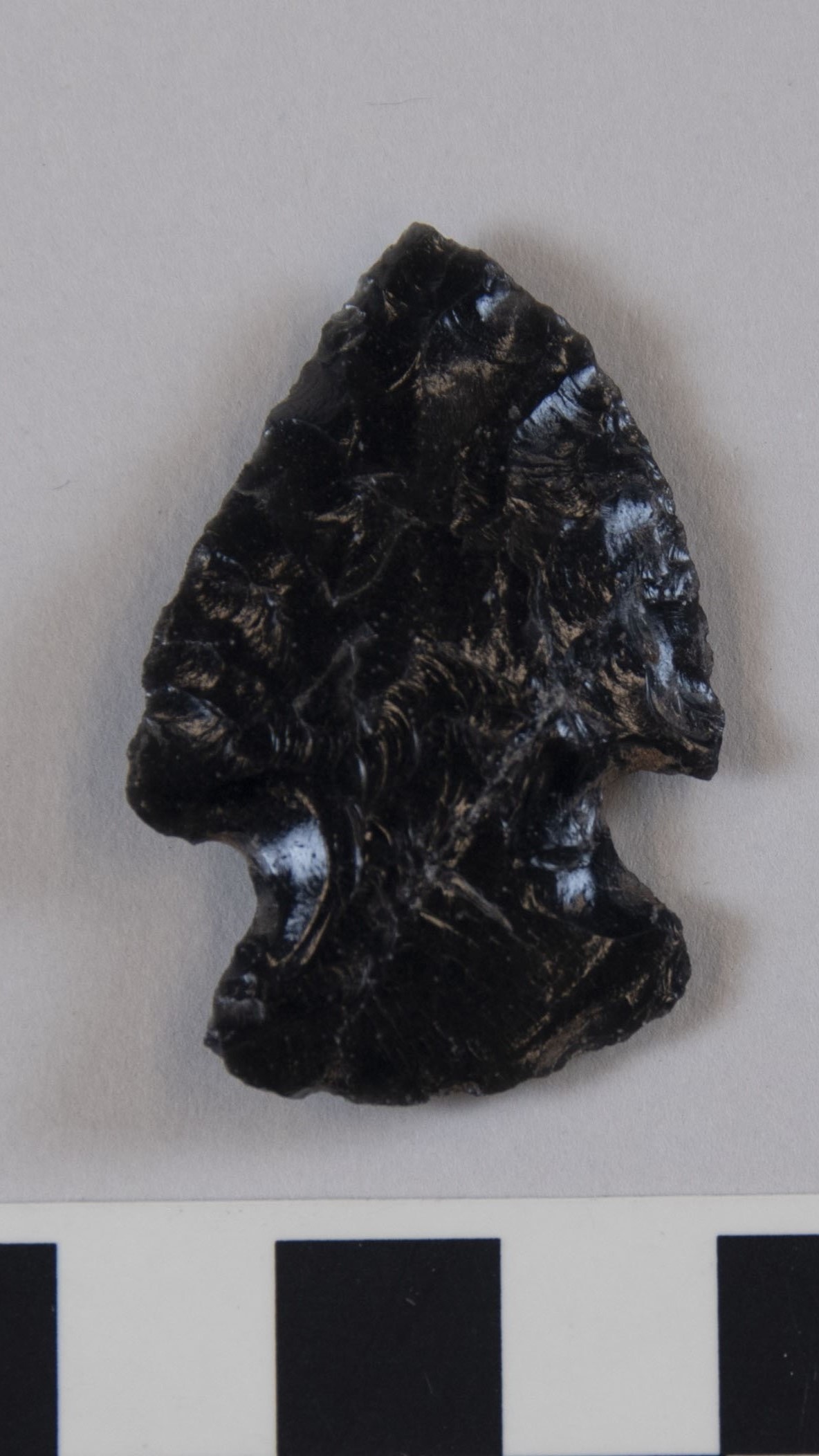 projectile point