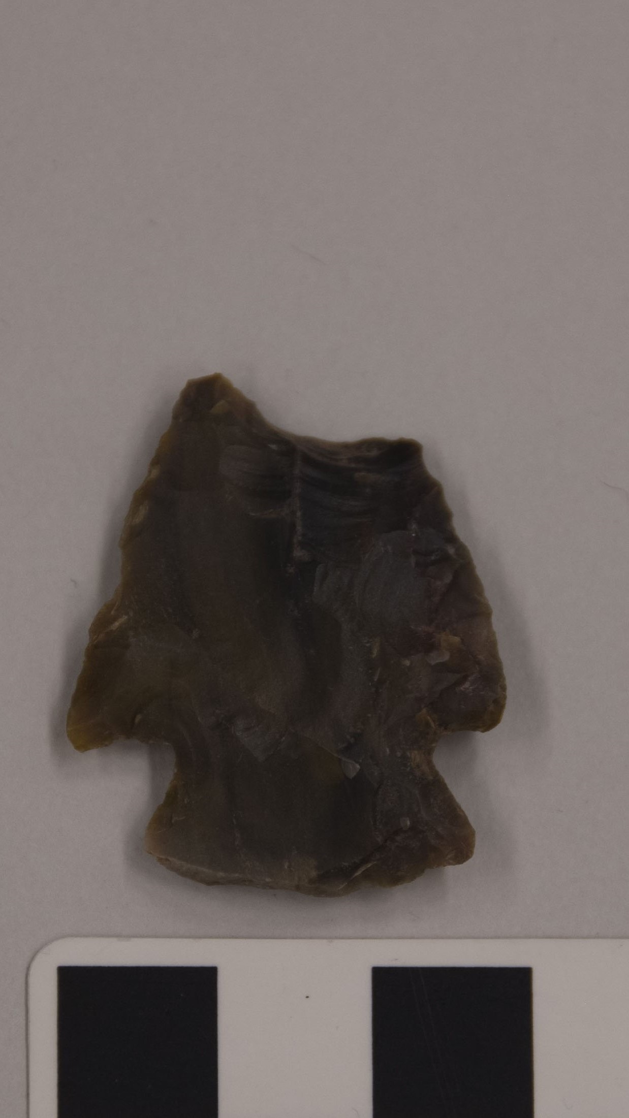 projectile point